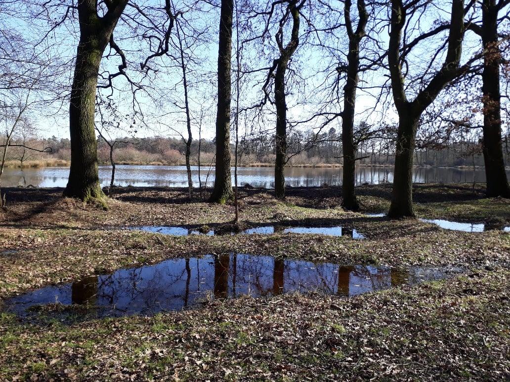 Den Broam Witteveen