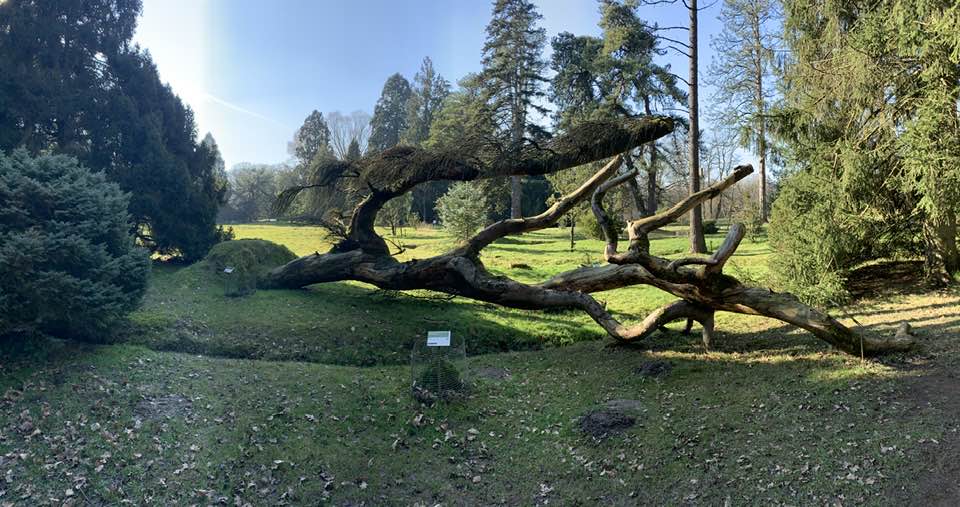 Arboretum Poortbulten FOG