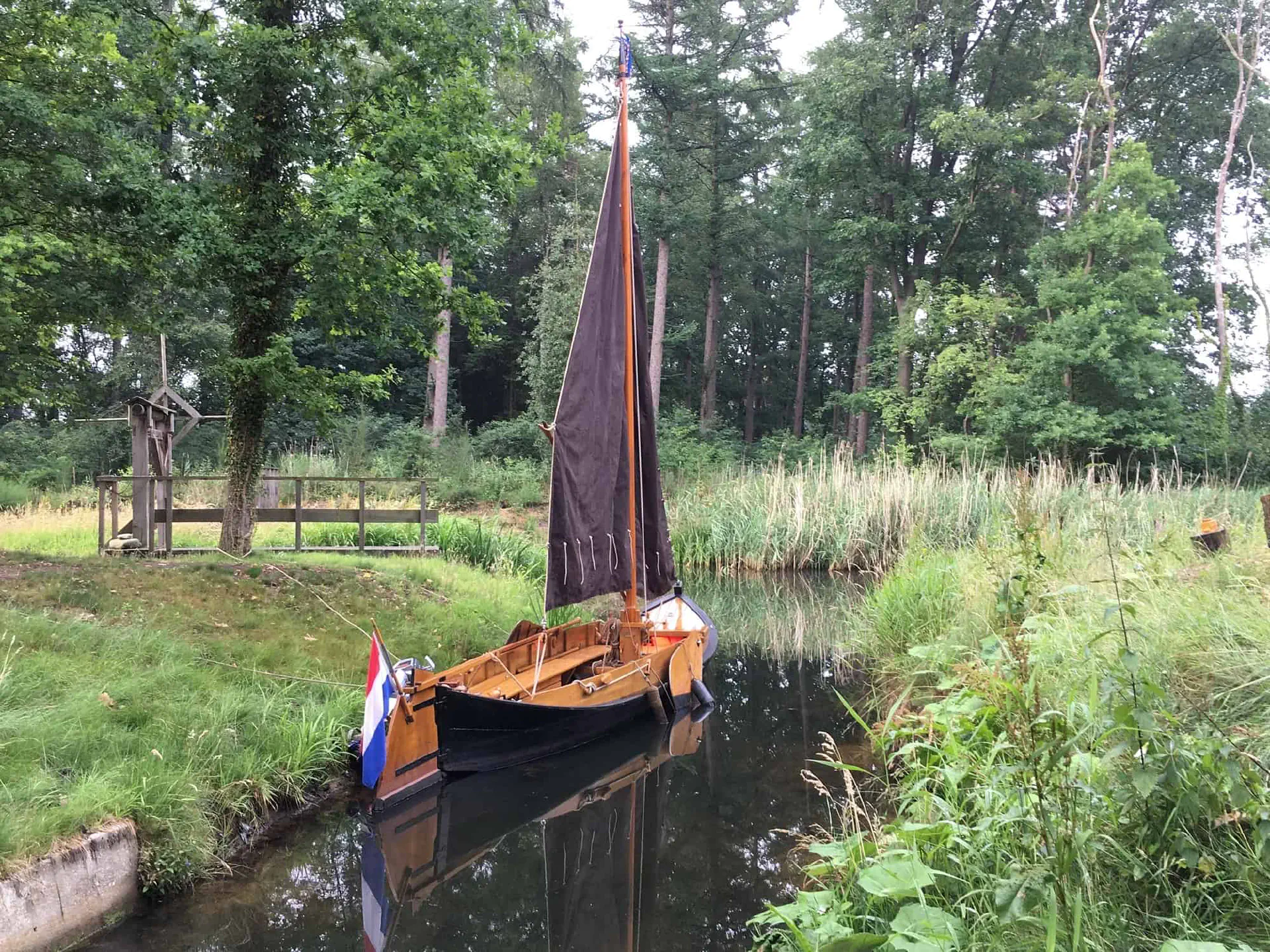 buurserpot