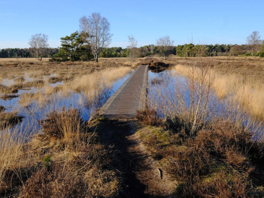 buurserzand1