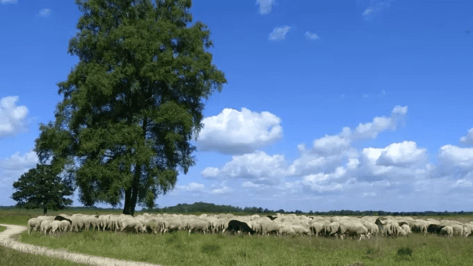 QR-code route Veenverhalen Haaksbergen