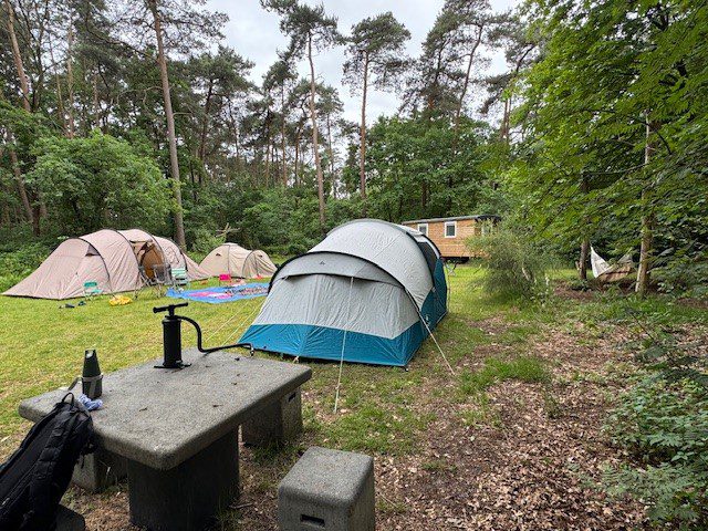 20250529 met picknicktafel