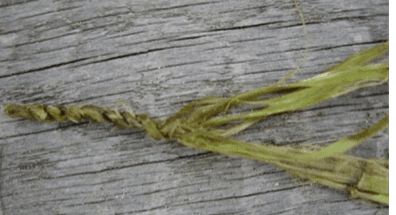 Bushcraft met Yvonne Cuypers