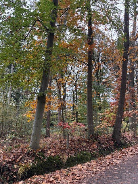 Weekend Ontspannen en genieten