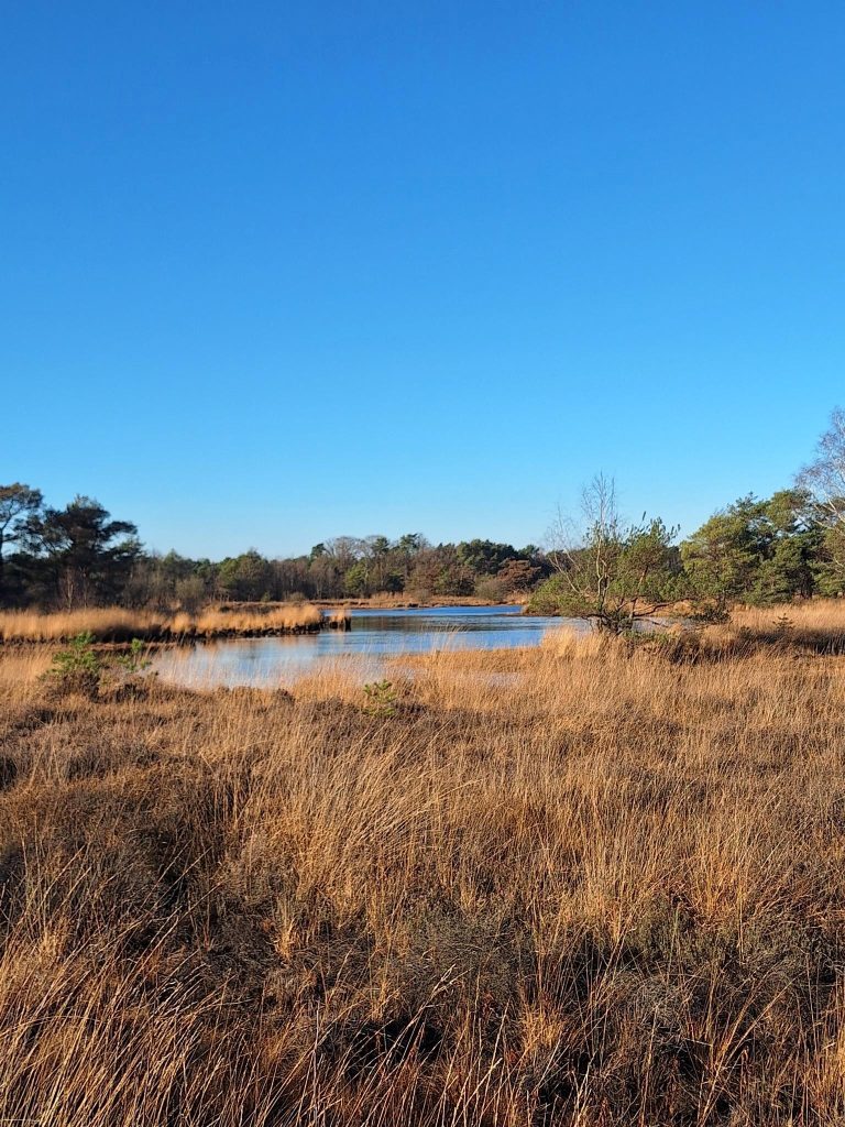 ‘Wandel, luister en verwonder’ midweek